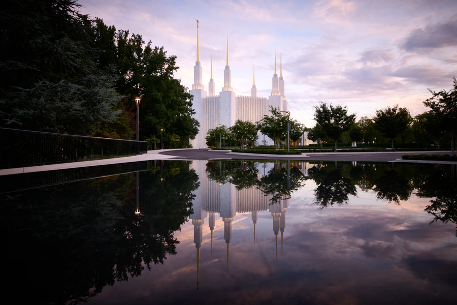 The Washington D.C. Temple with its six gold-tipped spires rising above the trees.